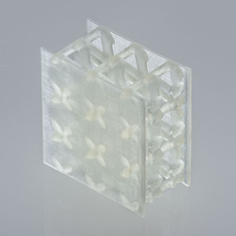 BASF - Ultracur3D FL 60 - 1 kg