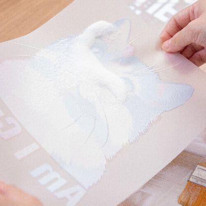 OtterPro - DTF - Poudre utilisation